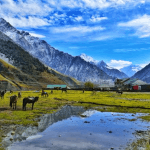 Tourist tents pitched in the green meadows of Basho Valley Skardu, with a flowing river stream and sharp Himalayan mountain peaks under an overcast sky.