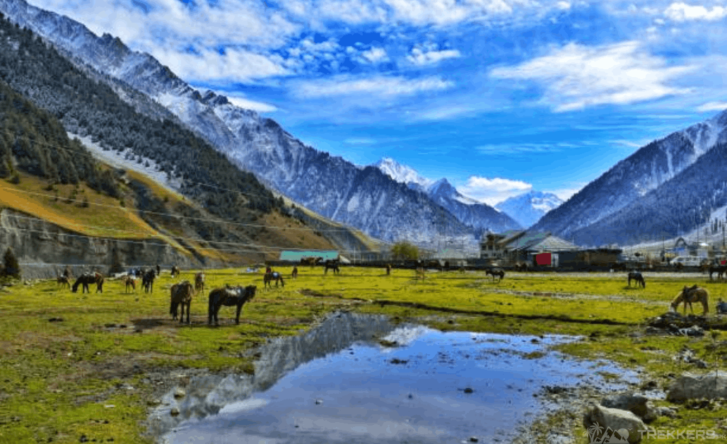 Tourist tents pitched in the green meadows of Basho Valley Skardu, with a flowing river stream and sharp Himalayan mountain peaks under an overcast sky.