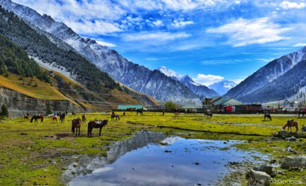 Basho Valley: Visiting the Hidden Paradise in Skardu