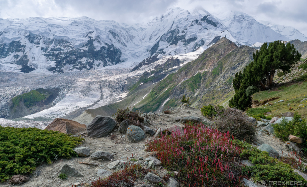 A Travel Guide To Rakaposhi Trek And Hon Pass: How To Prepare For It