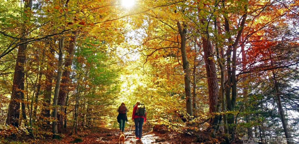 two-people-hiking-along-with-their-dog