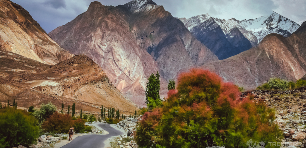 trek-trails-towards-tirich-mir-peak