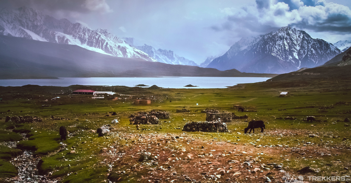 A Voyage To The Extraordinary Beauty of The Shandur Lake