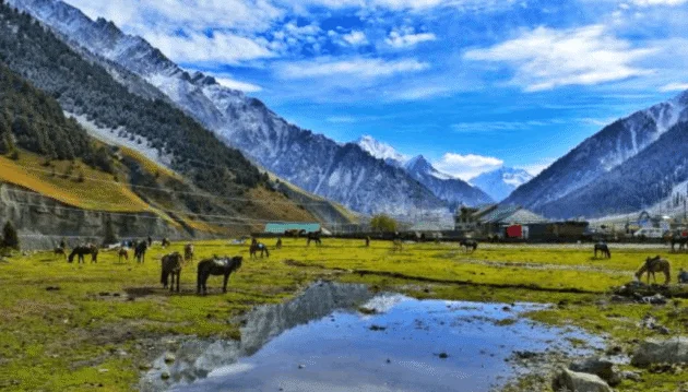 Tourist tents pitched in the green meadows of Basho Valley Skardu, with a flowing river stream and sharp Himalayan mountain peaks under an overcast sky.