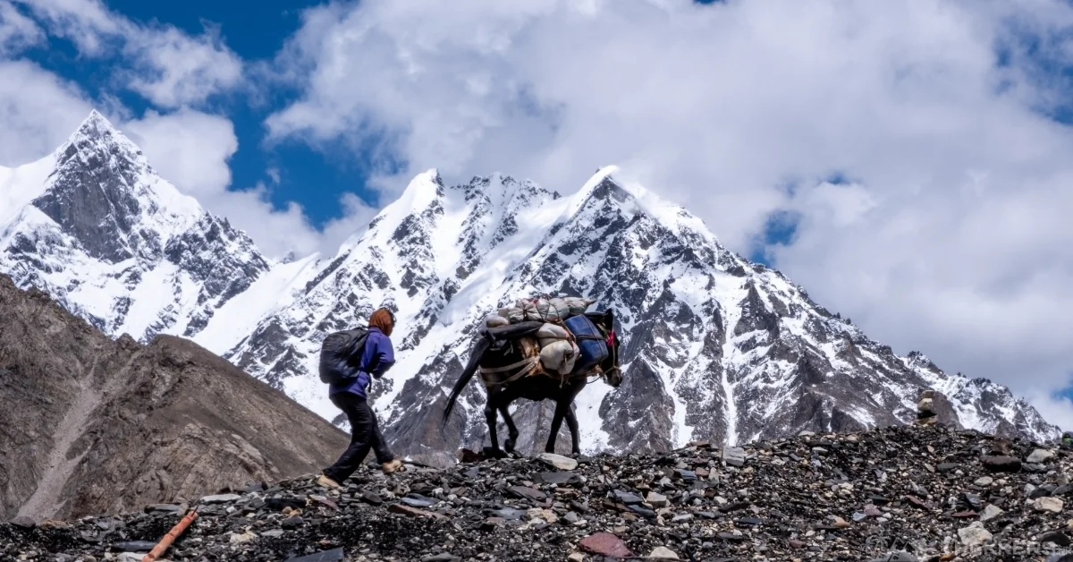 a-trekker-walking-with-his-donkey