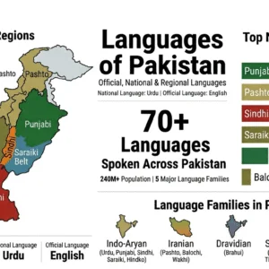 Infographic showing the top native languages of Pakistan including Punjabi, Pashto, and Sindhi based on the 2023 census.